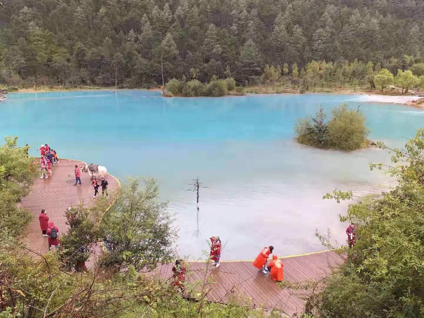Blue Moon Valley